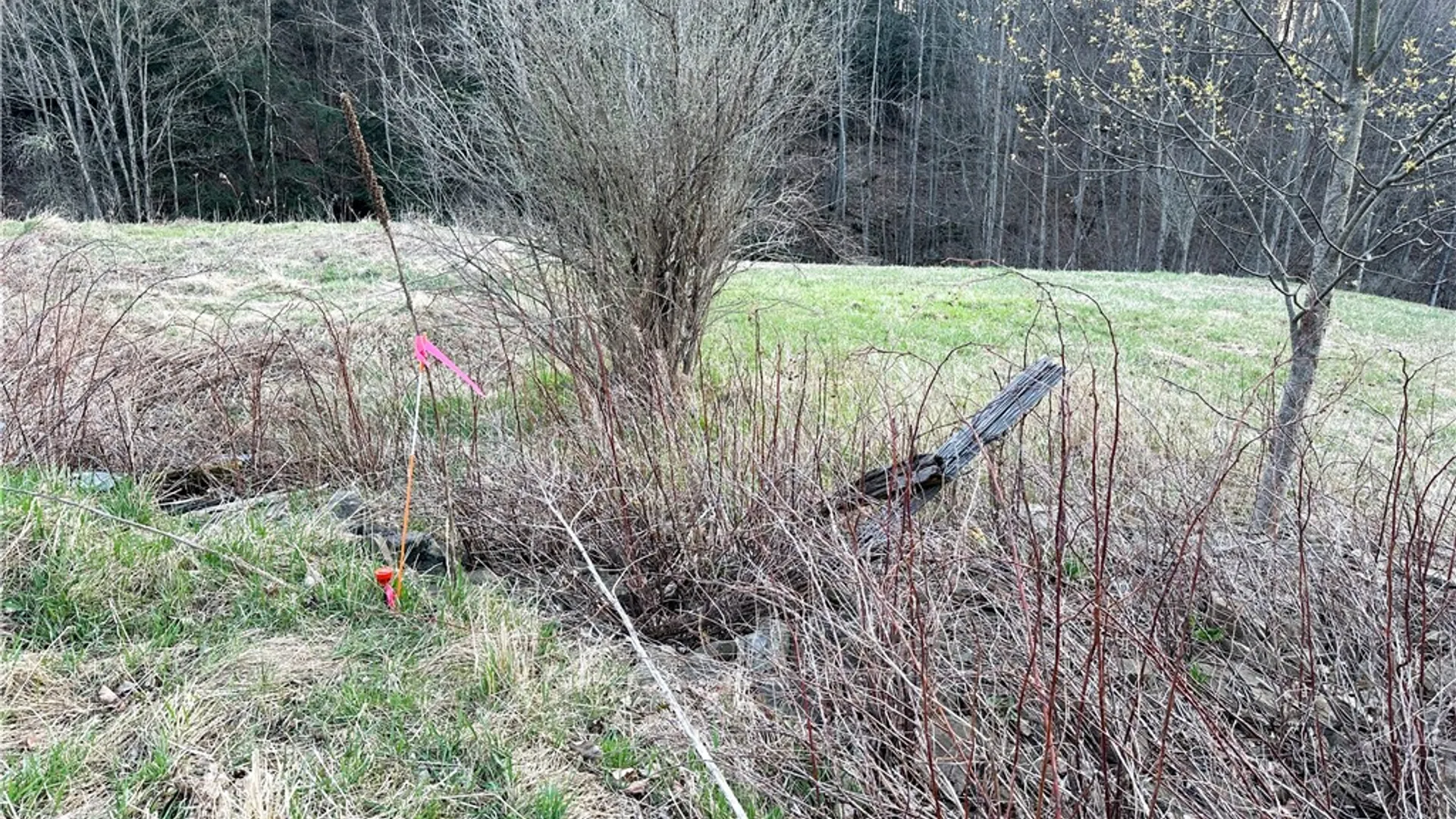Property at Lot 10 Brennan Rd, Tuscarora, NY 14801 21