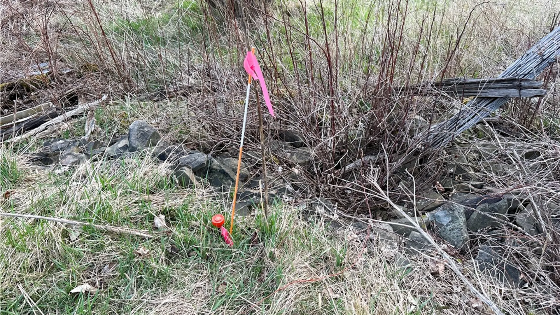Property at Lot 10 Brennan Rd, Tuscarora, NY 14801 22