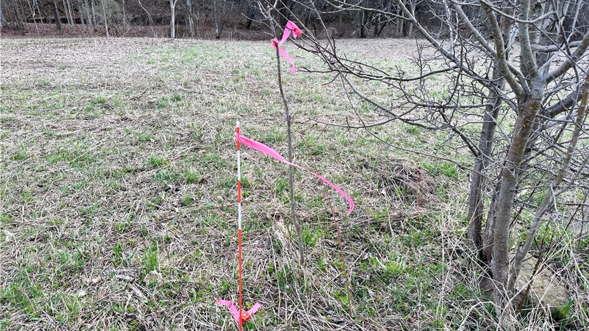 Property at Lot 10 Brennan Rd, Tuscarora, NY 14801 23
