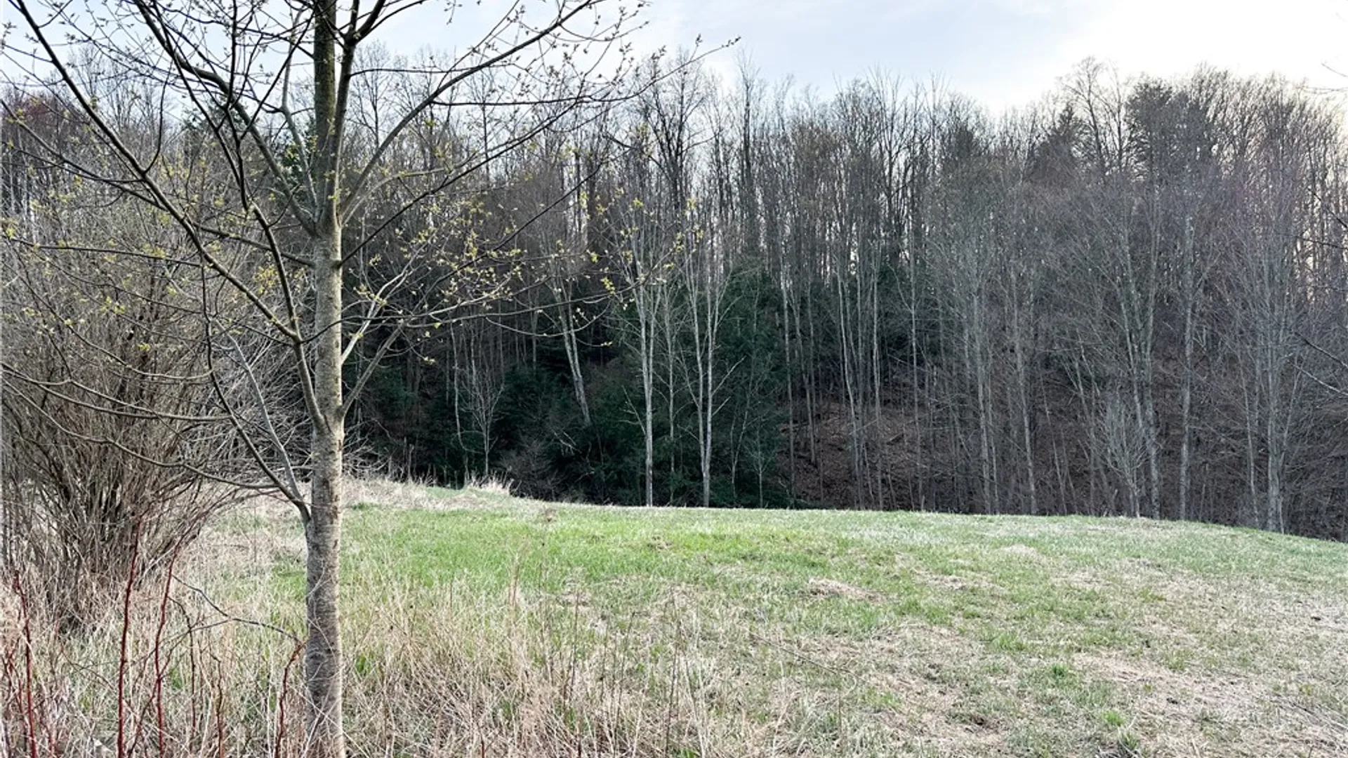 Property at Lot 10 Brennan Rd, Tuscarora, NY 14801 6