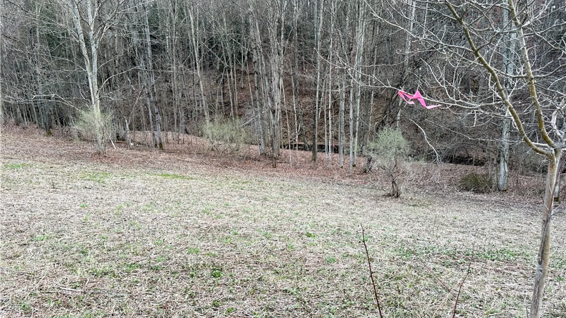 Property at Lot 10 Brennan Rd, Tuscarora, NY 14801 8
