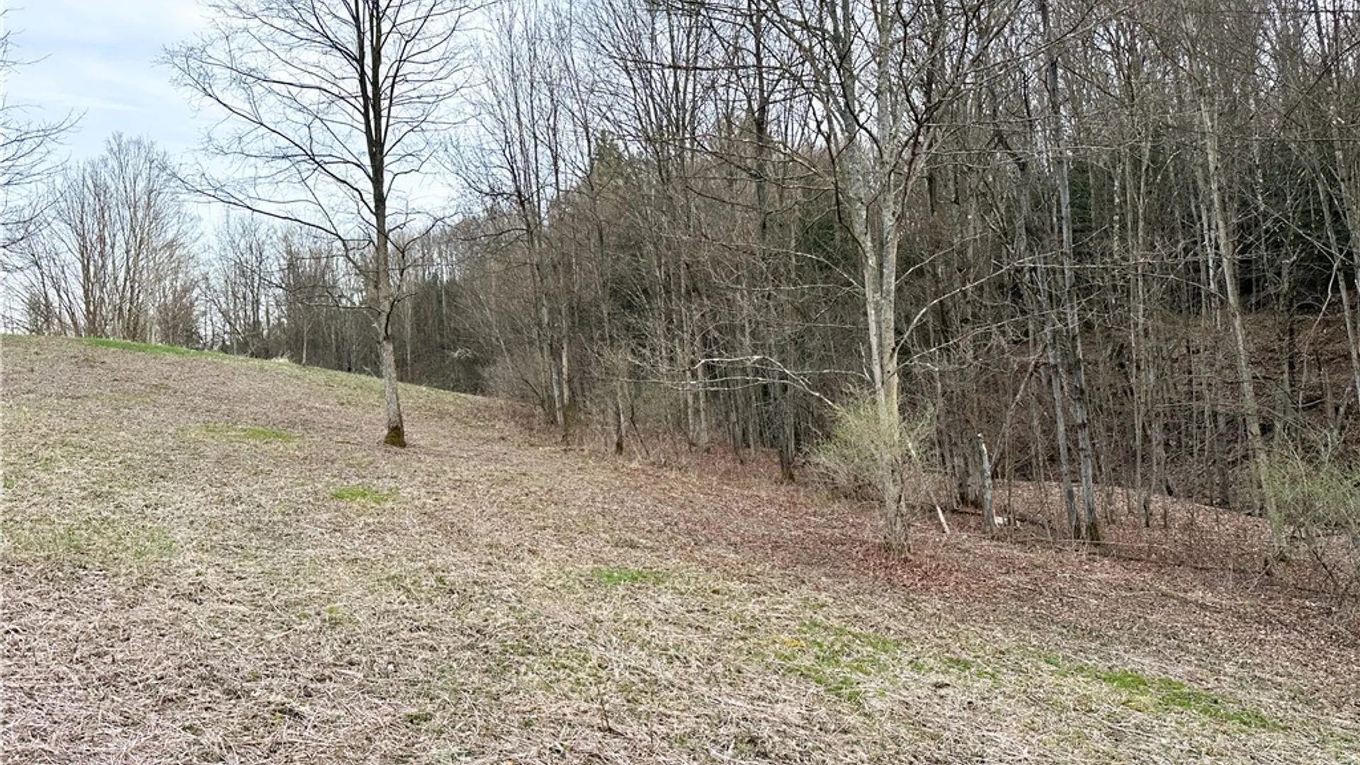 Property at Lot 10 Brennan Rd, Tuscarora, NY 14801 9