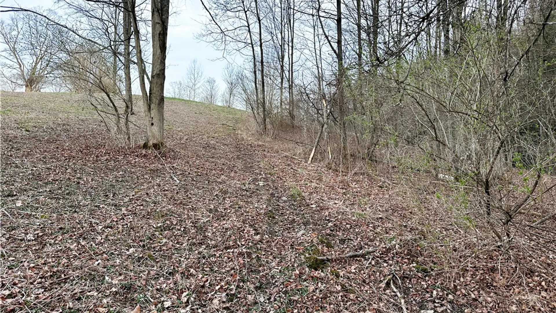 Property at Lot 10 Brennan Rd, Tuscarora, NY 14801 11