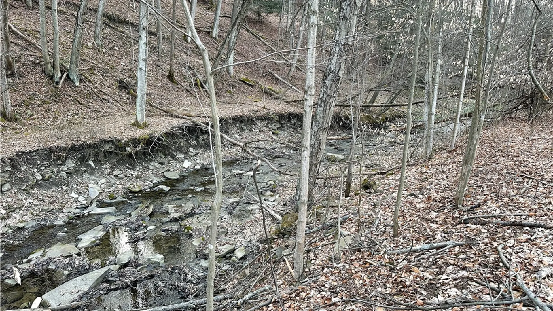 Property at Lot 10 Brennan Rd, Tuscarora, NY 14801 12
