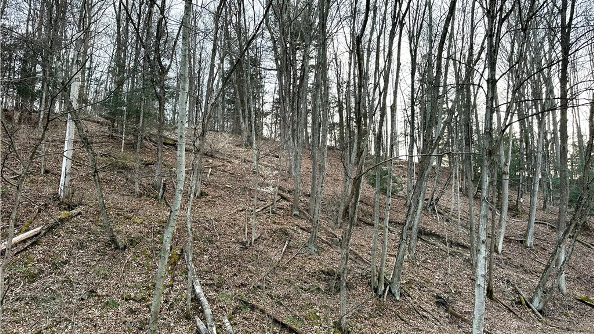 Property at Lot 10 Brennan Rd, Tuscarora, NY 14801 13