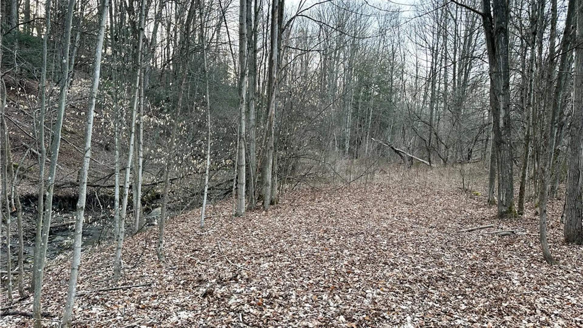 Property at Lot 10 Brennan Rd, Tuscarora, NY 14801 14