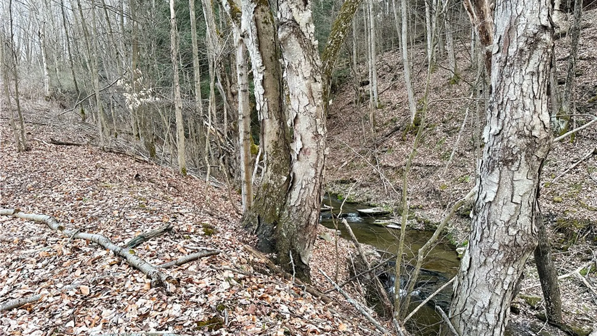 Property at Lot 10 Brennan Rd, Tuscarora, NY 14801 15