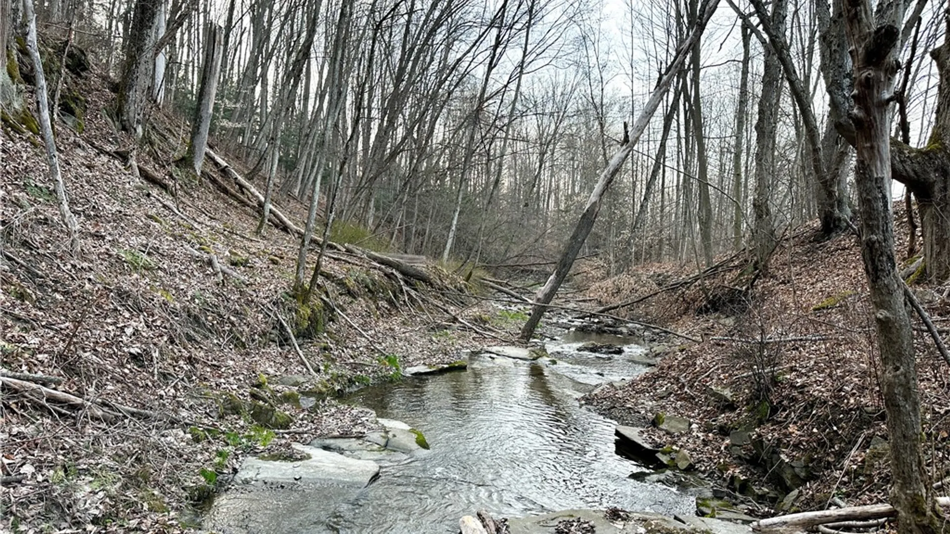 Property at Lot 10 Brennan Rd, Tuscarora, NY 14801 16