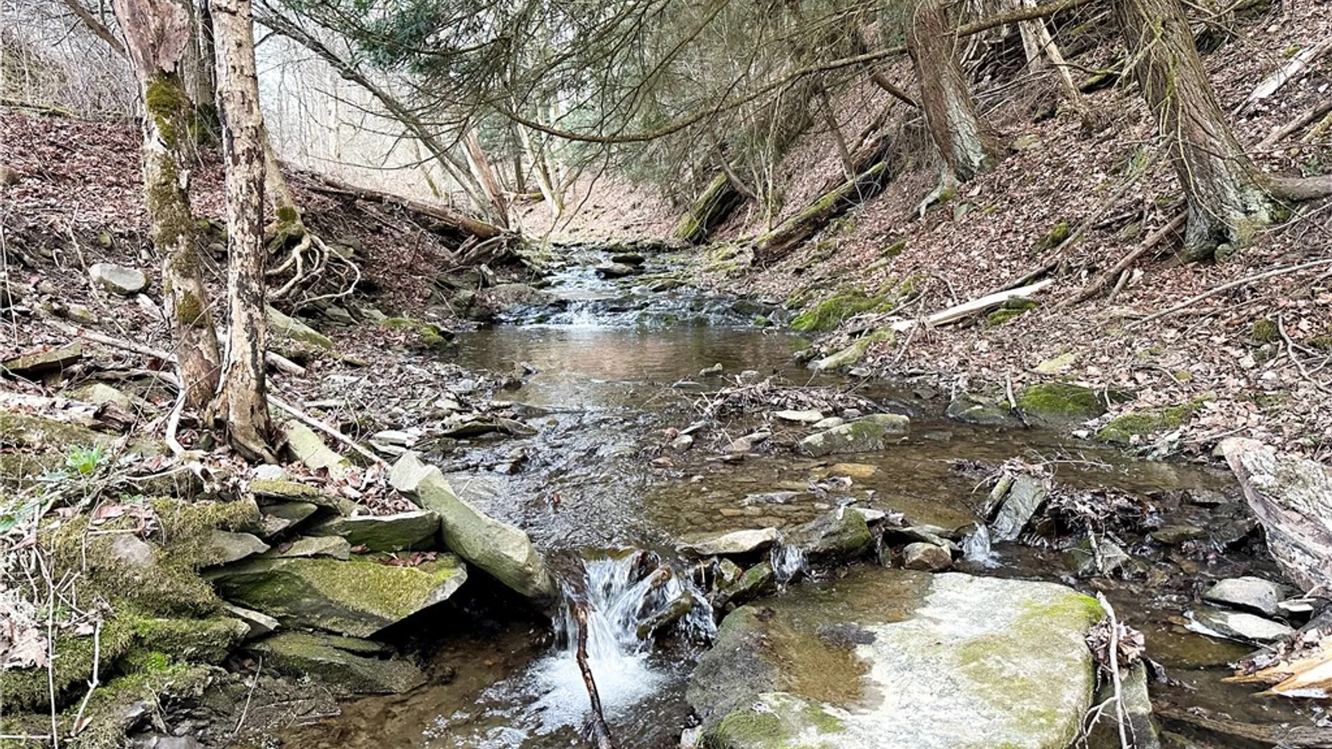 Property at Lot 10 Brennan Rd, Tuscarora, NY 14801 18