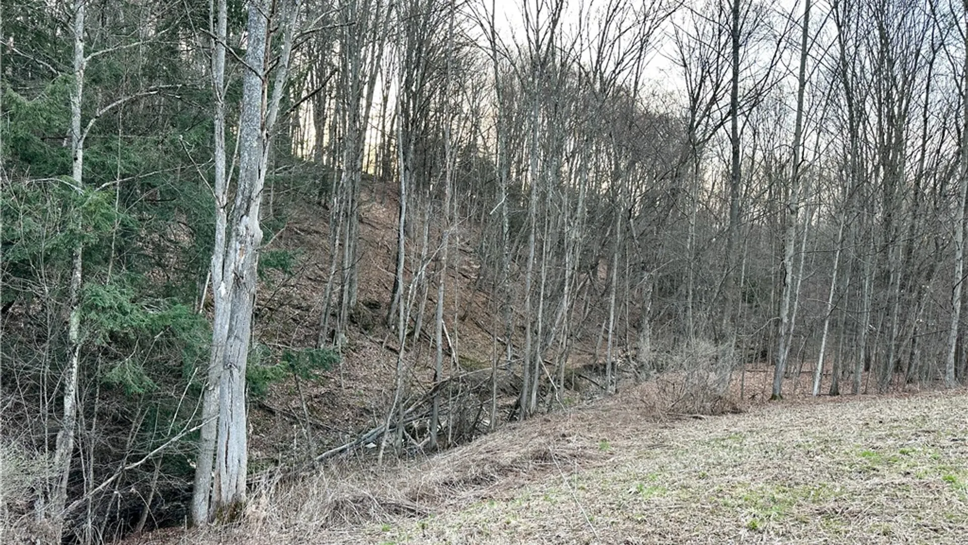 Property at Lot 10 Brennan Rd, Tuscarora, NY 14801 19