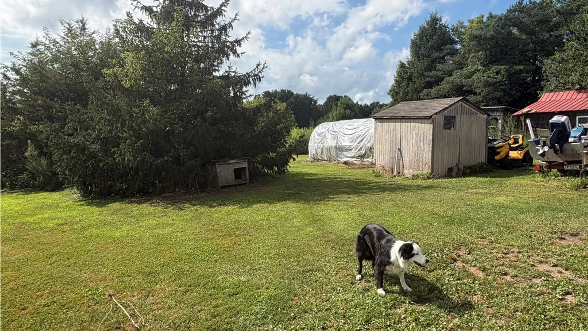 Property at 11255 Drake Road, Conquest, NY 13033 7