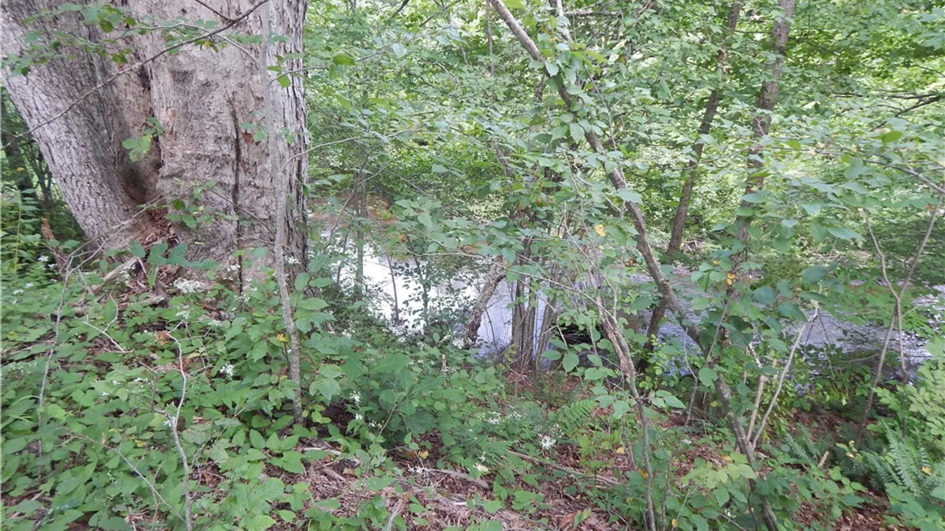 Property at 1094 County Highway 7, Otego, NY 13825 21