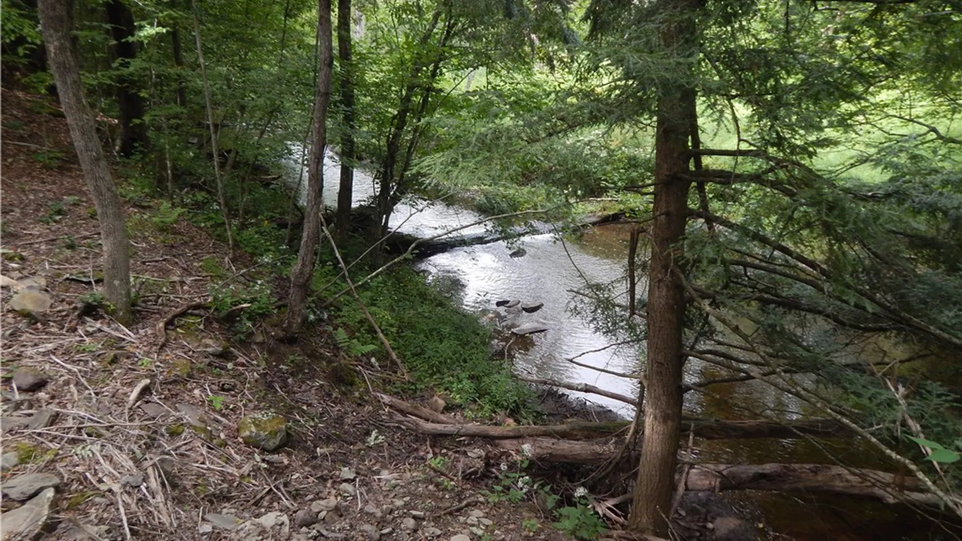 Property at 1094 County Highway 7, Otego, NY 13825 24