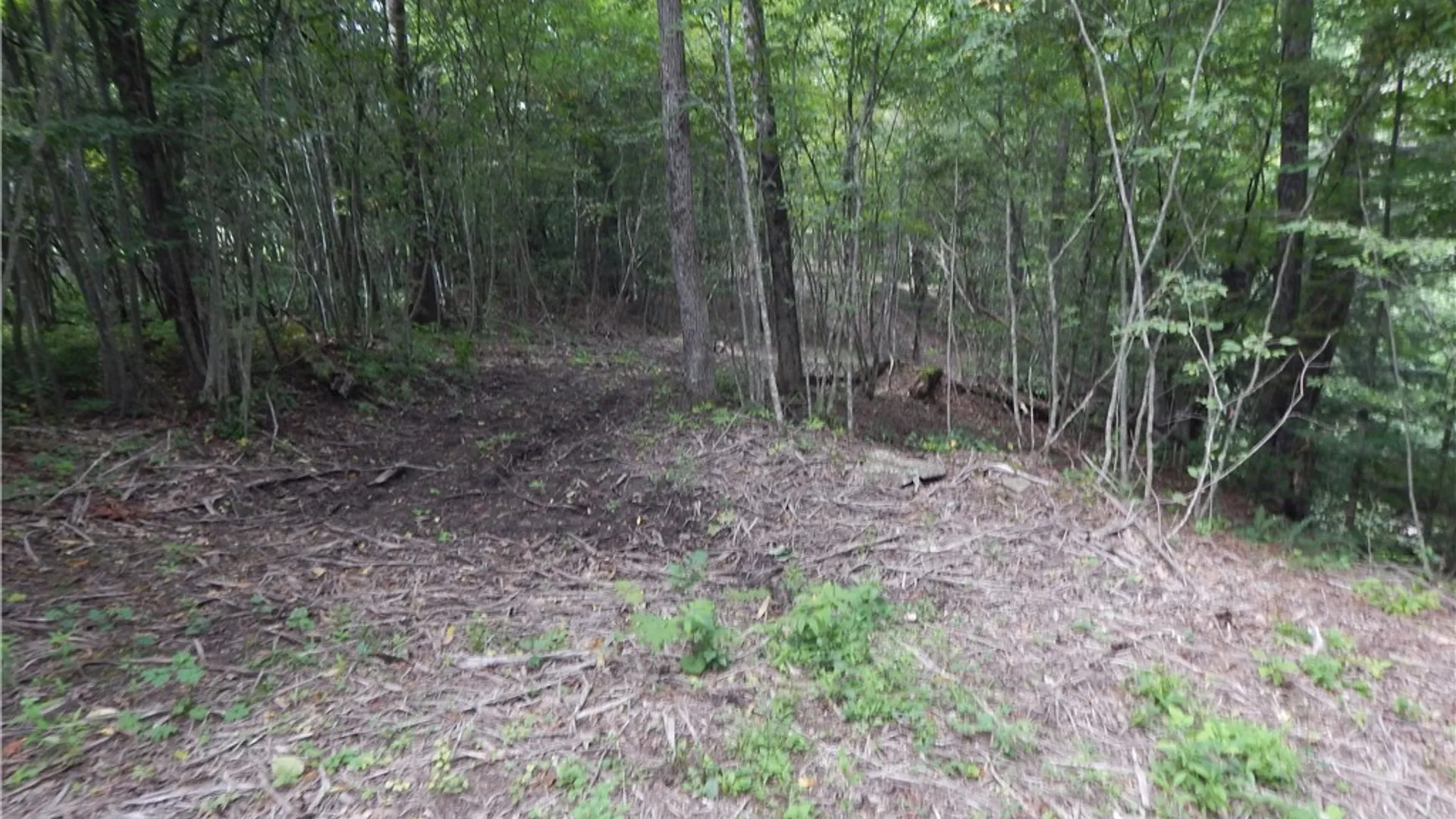 Property at 1094 County Highway 7, Otego, NY 13825 26