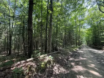 Property at W Whitcomb Road, Tioga, NY 13734