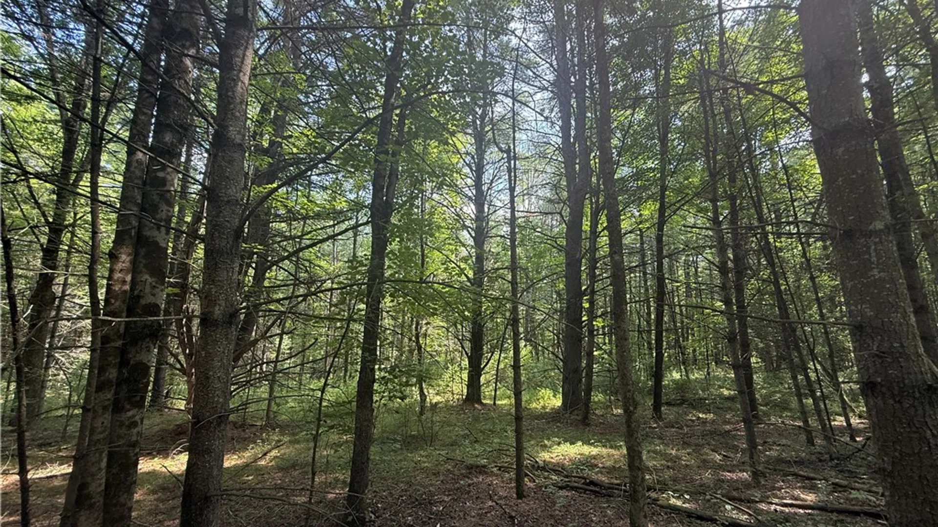 Property at W Whitcomb Road, Tioga, NY 13734 3