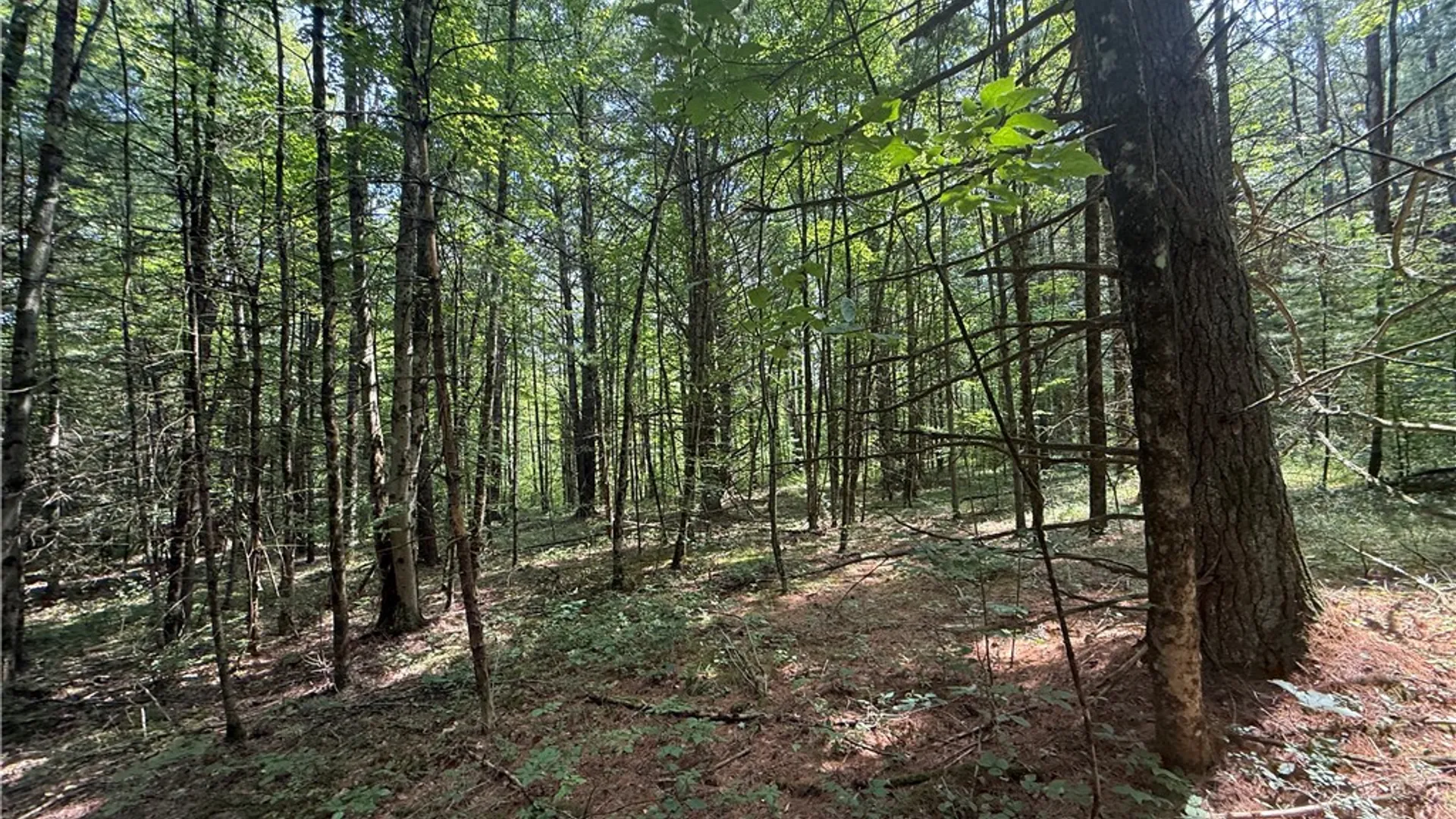Property at W Whitcomb Road, Tioga, NY 13734 4