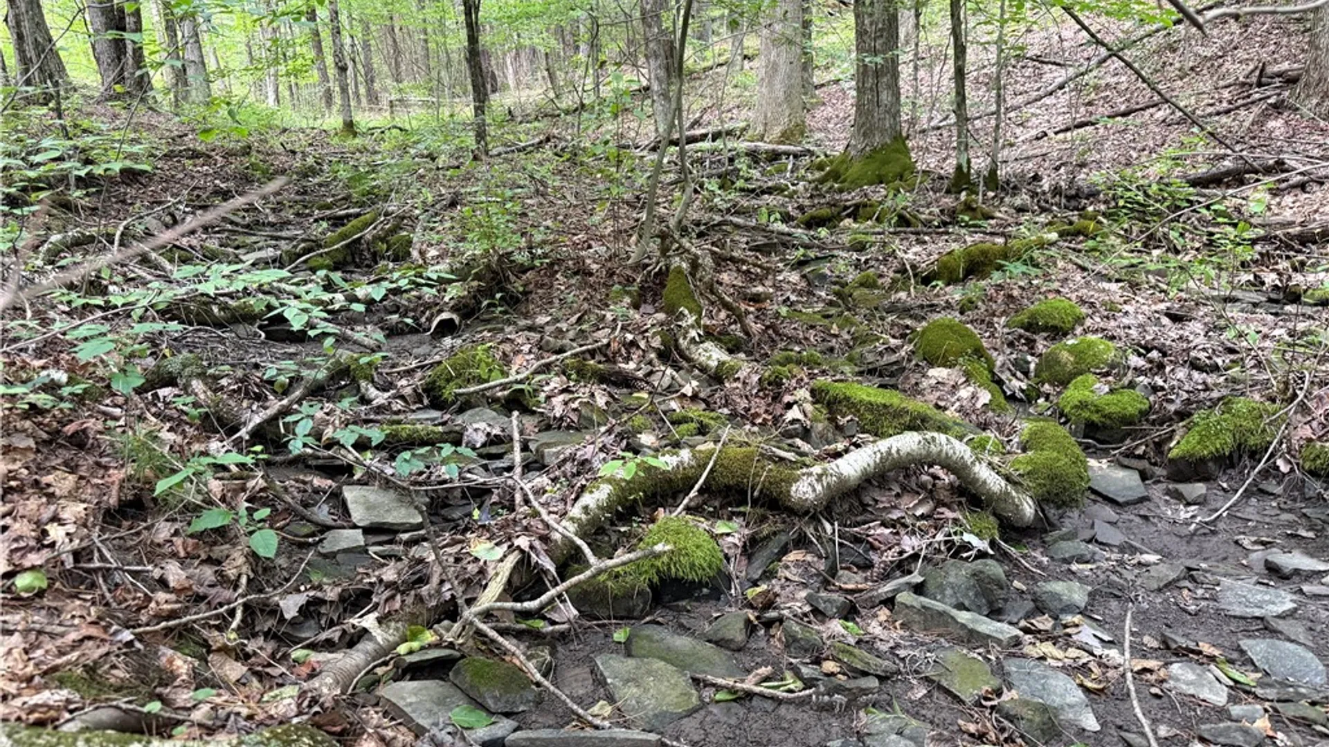 Property at W Whitcomb Road, Tioga, NY 13734 6
