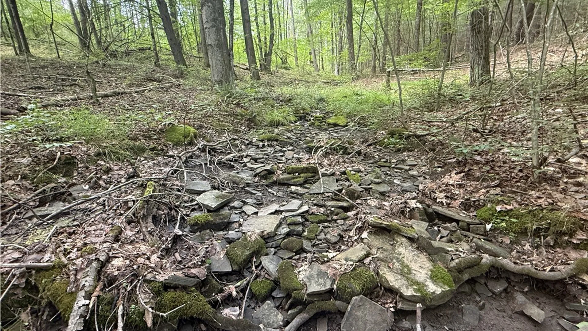 Property at W Whitcomb Road, Tioga, NY 13734 7