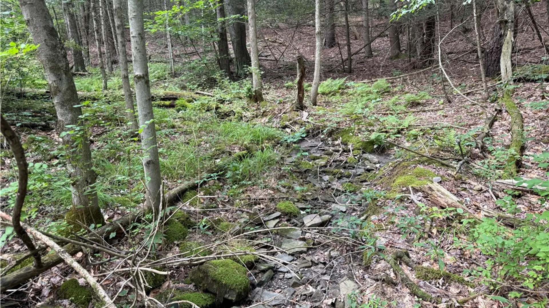 Property at W Whitcomb Road, Tioga, NY 13734 8
