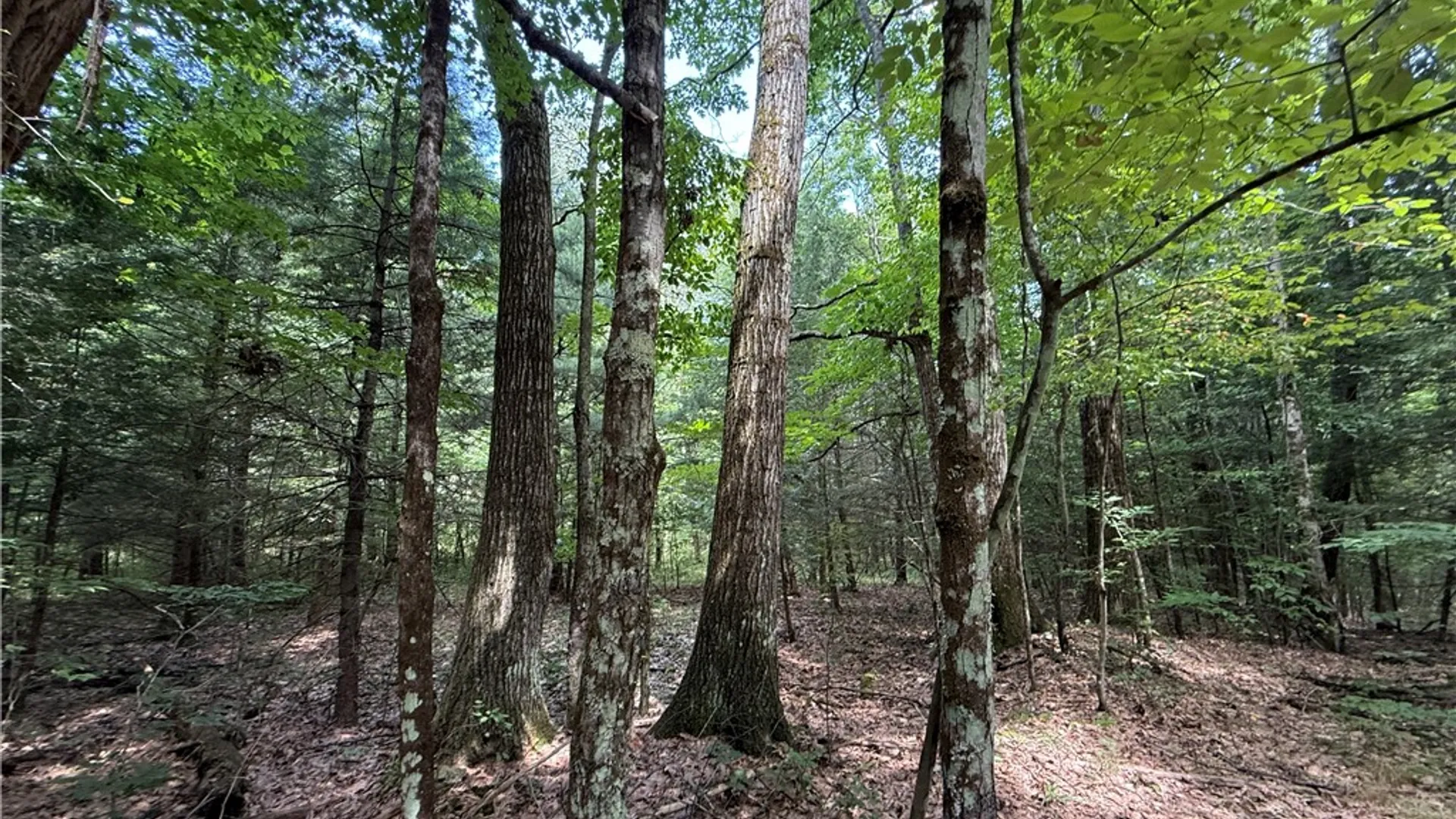 Property at W Whitcomb Road, Tioga, NY 13734 12