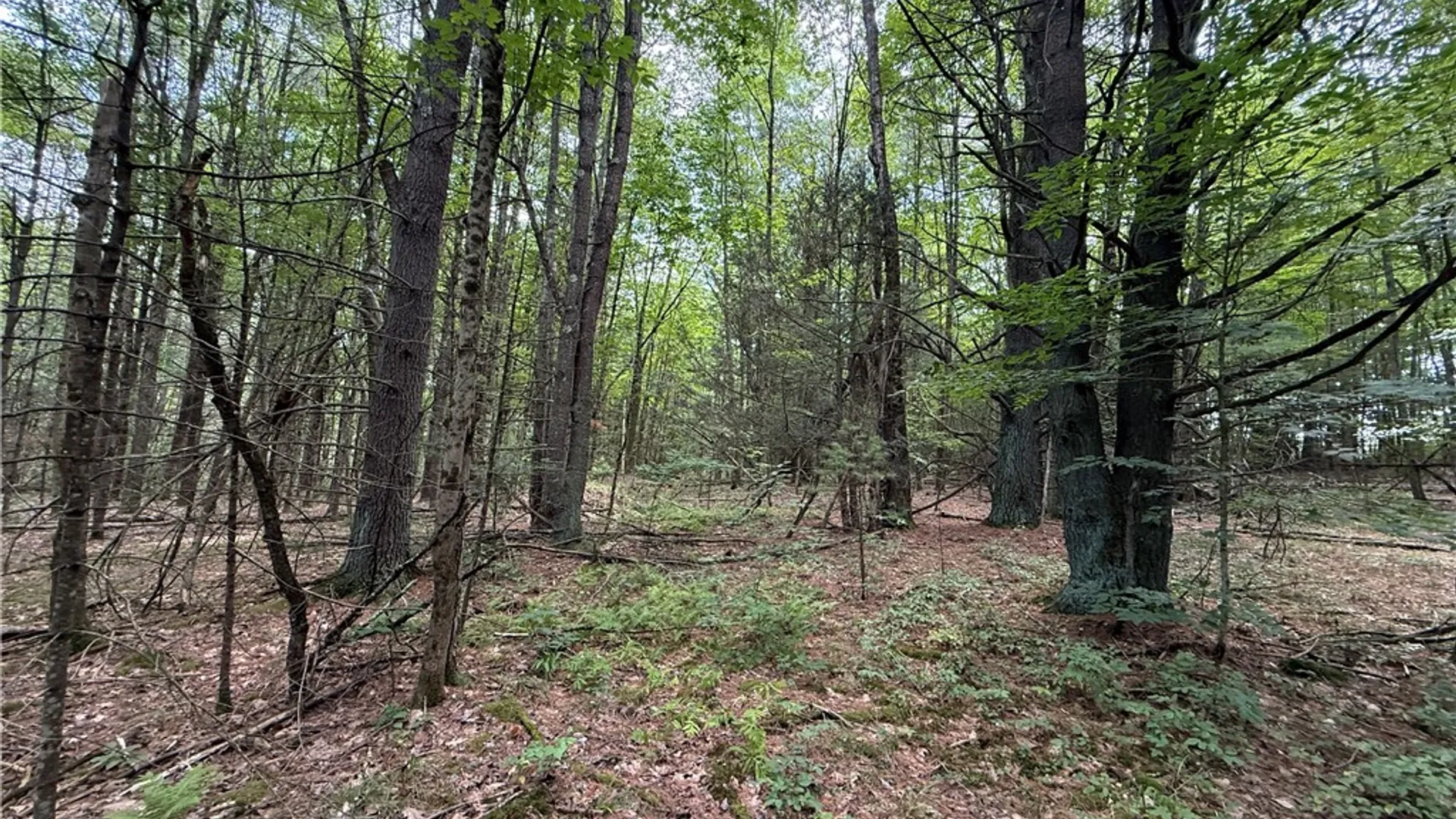 Property at W Whitcomb Road, Tioga, NY 13734 13