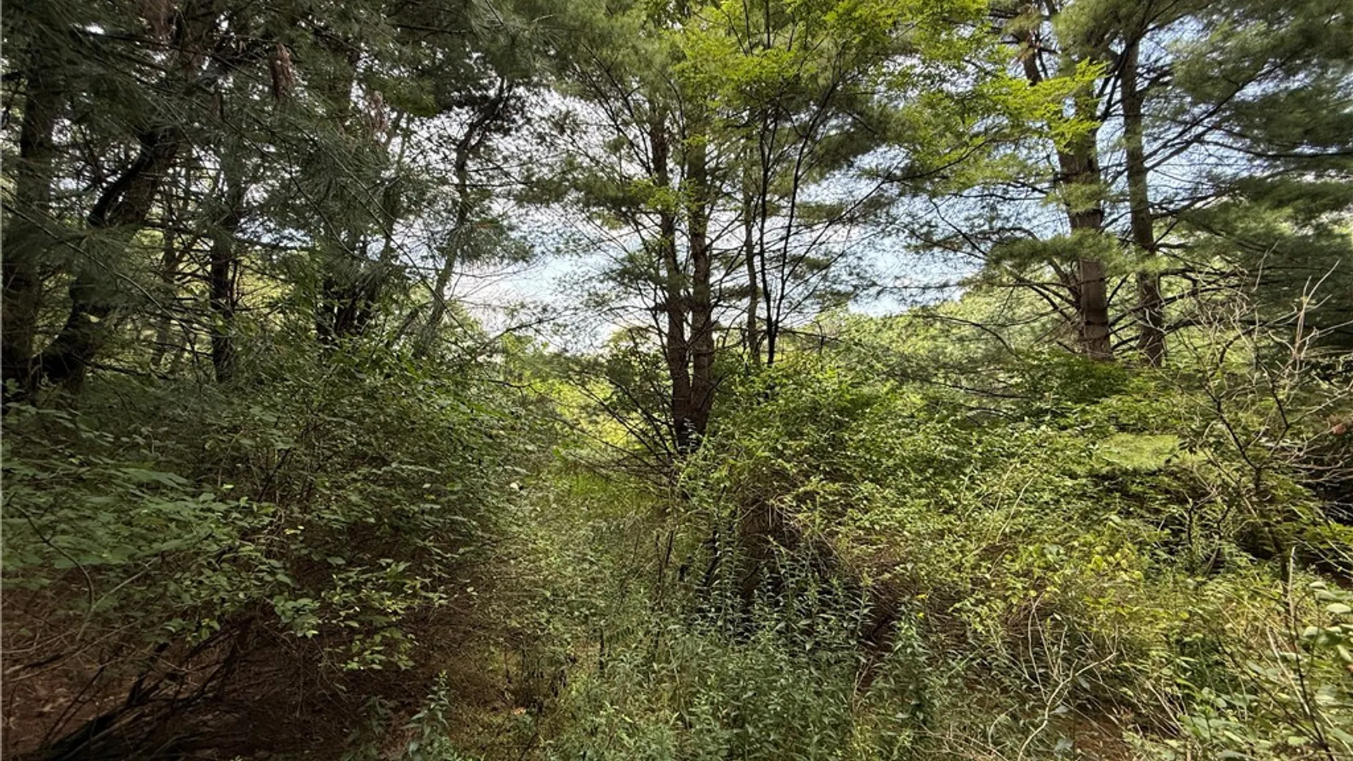 Property at W Whitcomb Road, Tioga, NY 13734 15
