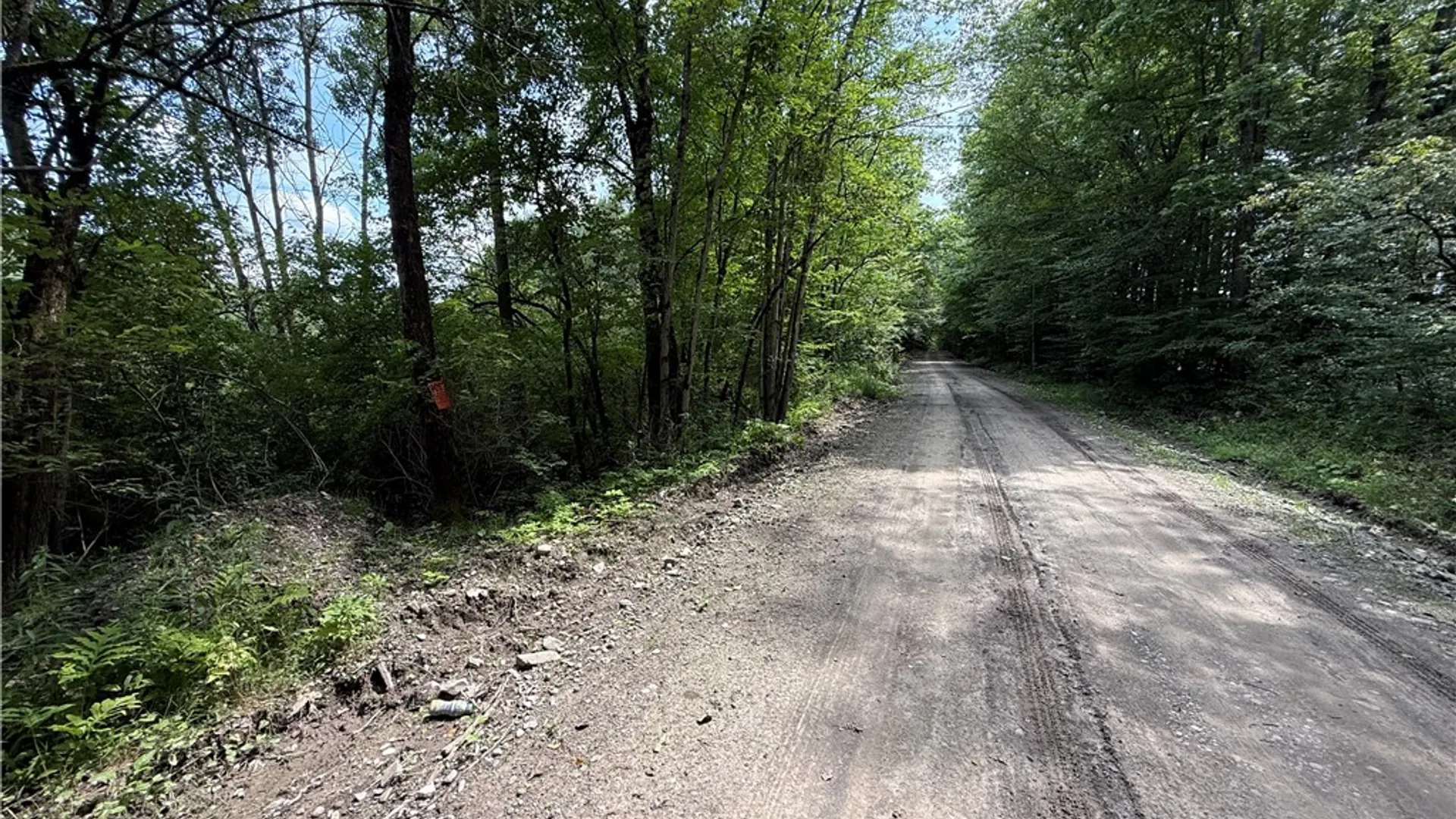 Property at W Whitcomb Road, Tioga, NY 13734 17