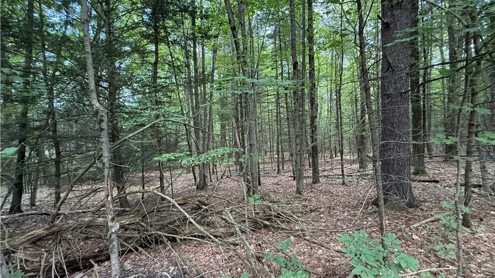 Property at W Whitcomb Road, Tioga, NY 13734 18
