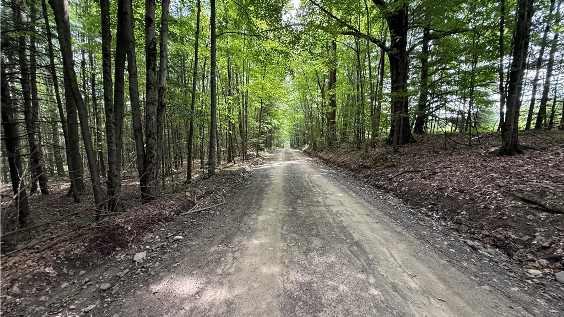 Property at W Whitcomb Road, Tioga, NY 13734 20