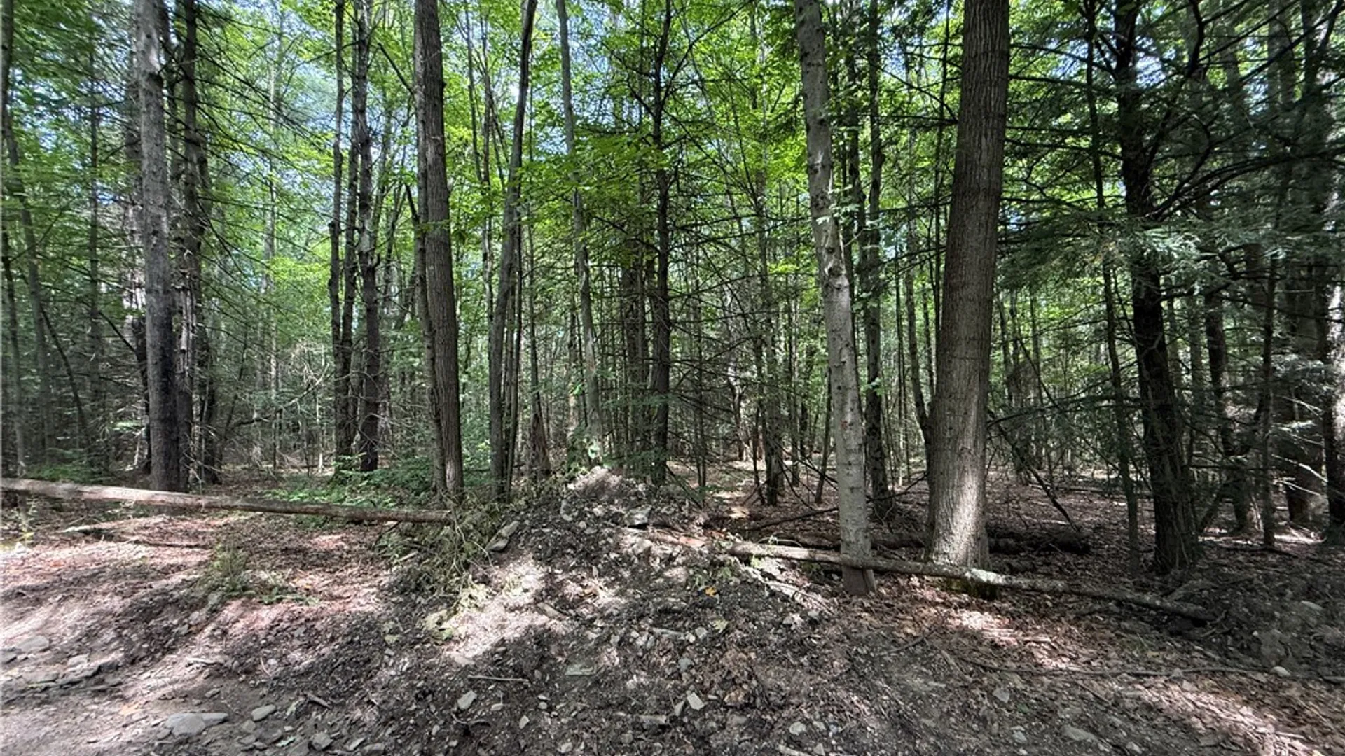 Property at W Whitcomb Road, Tioga, NY 13734 21