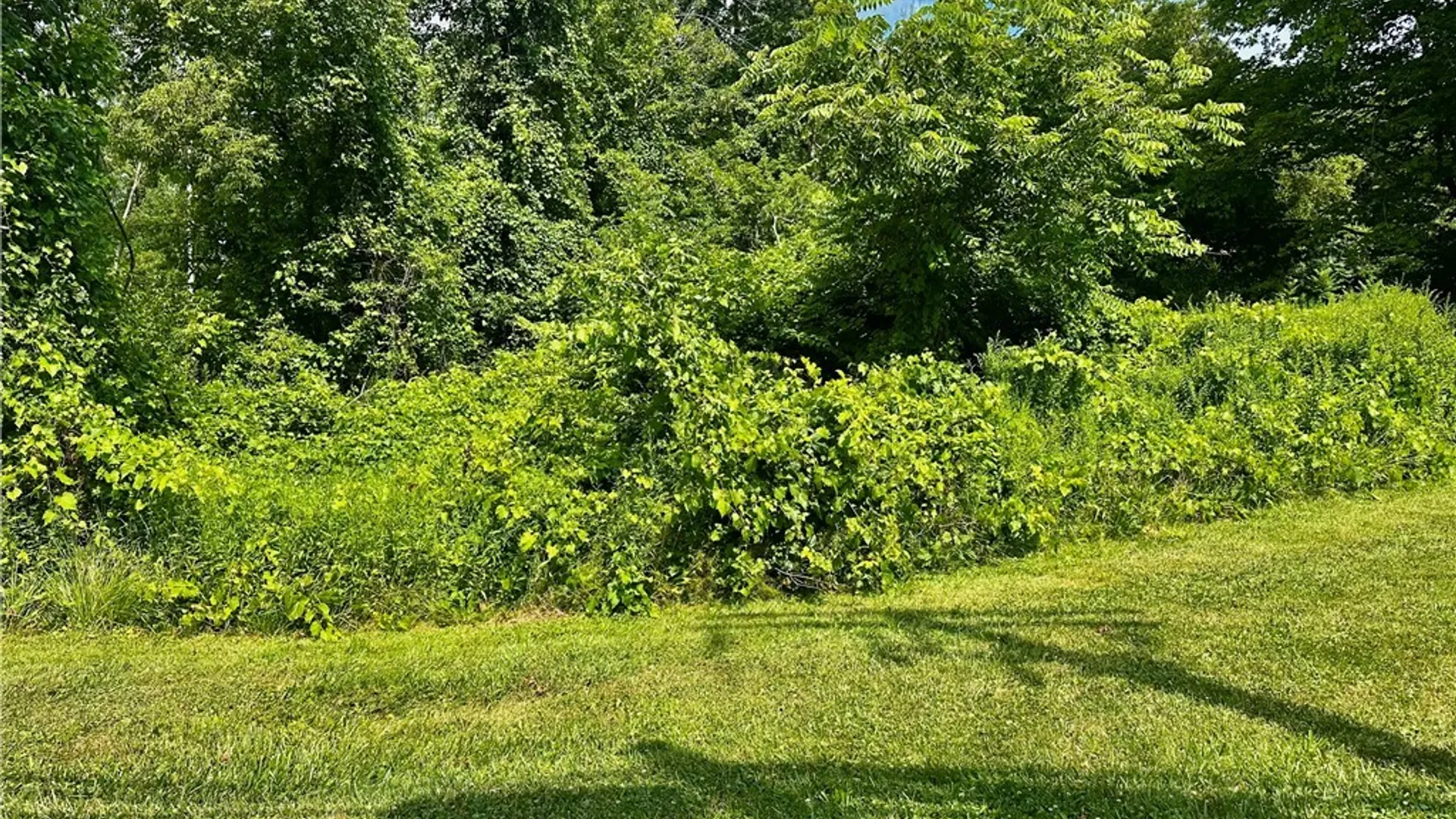 Property at 824 Hannibal Street, Fulton, NY 13069 5