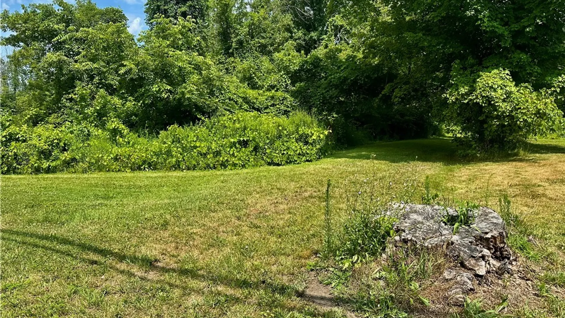 Property at 824 Hannibal Street, Fulton, NY 13069 9