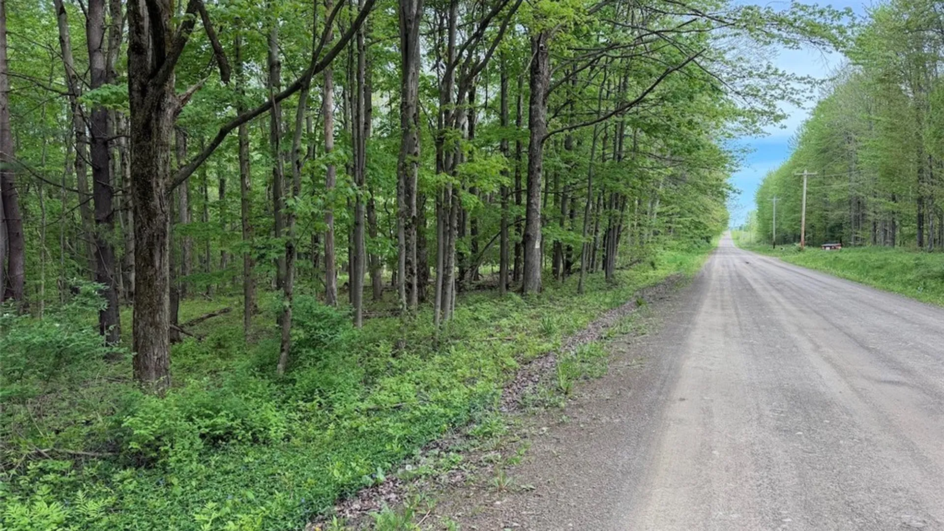 Property at Kellogg Hill Road, Leon, NY 14138 5