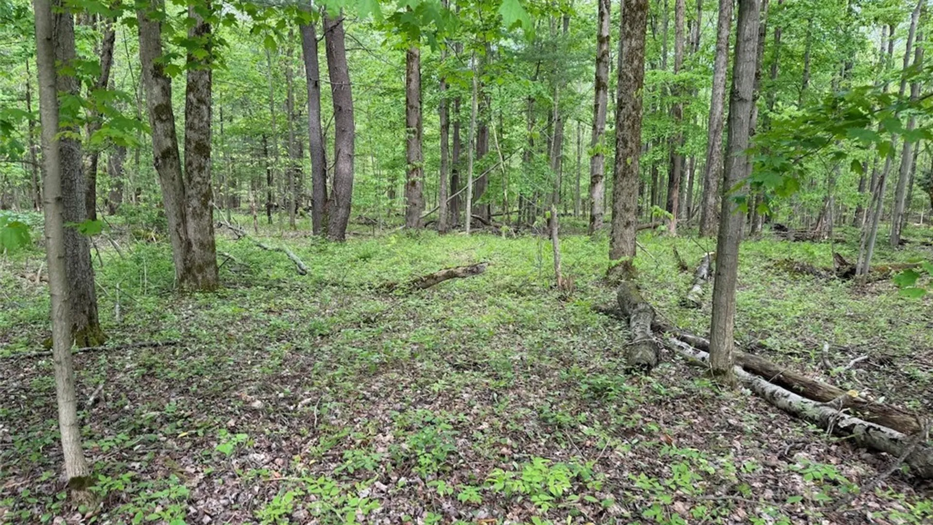 Property at Kellogg Hill Road, Leon, NY 14138 6