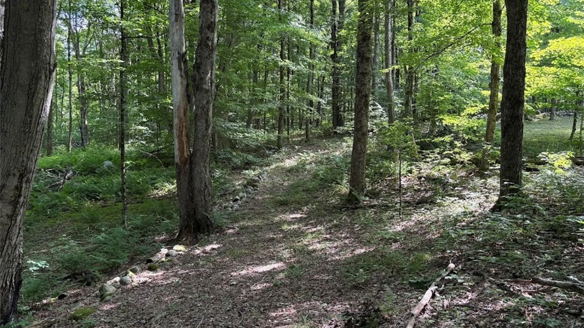 Property at 0 Briggs Road, Remsen, NY 13438 8