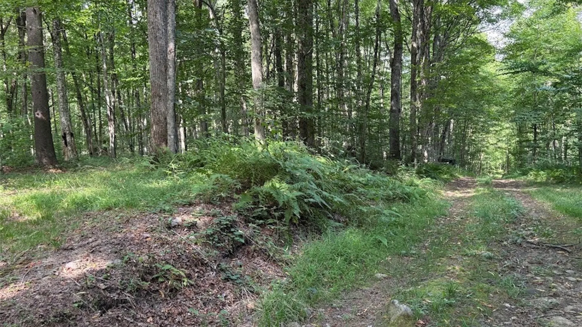 Property at 0 Briggs Road, Remsen, NY 13438 3