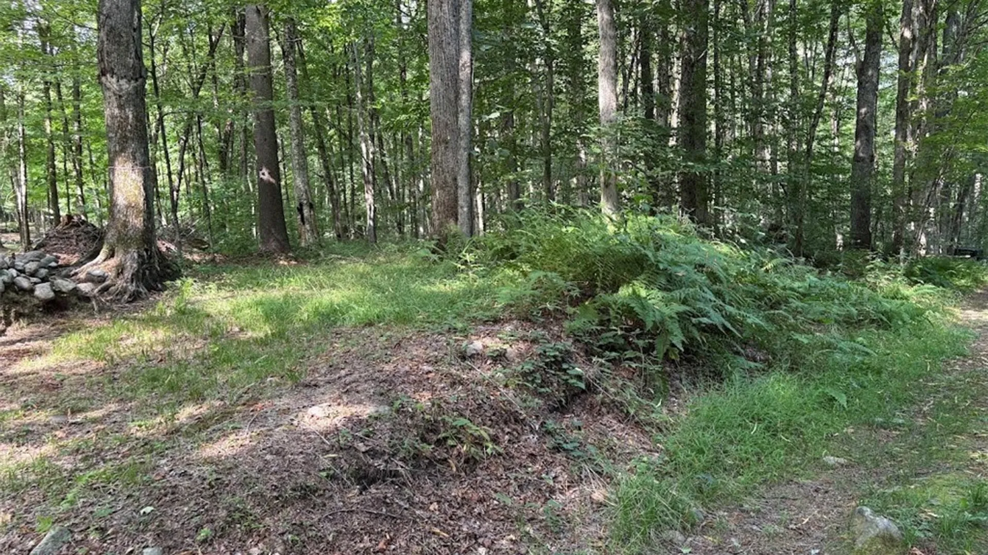 Property at 0 Briggs Road, Remsen, NY 13438 4