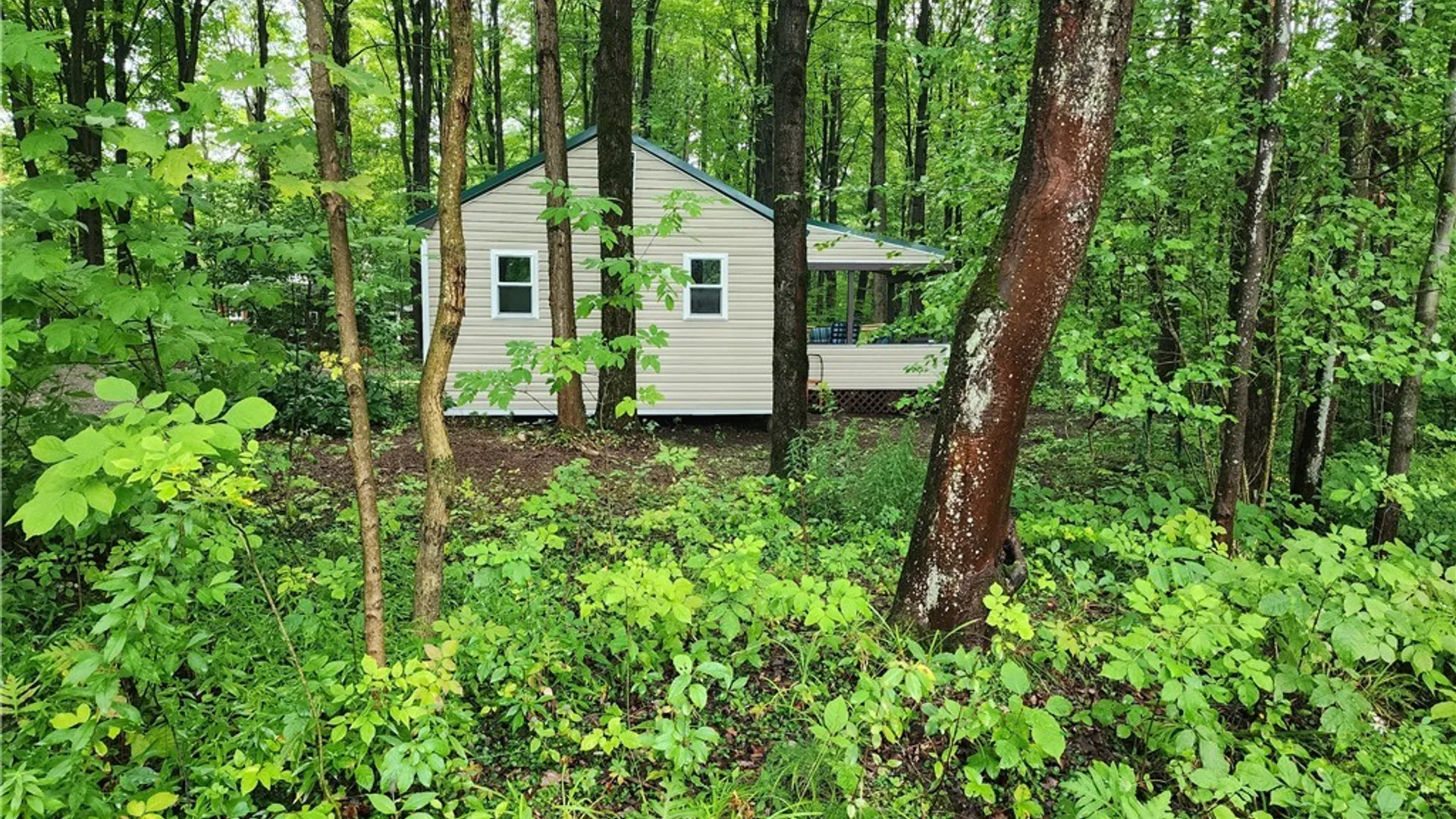 Property at 42 Maple Lane, Sheldon, NY 14167 26