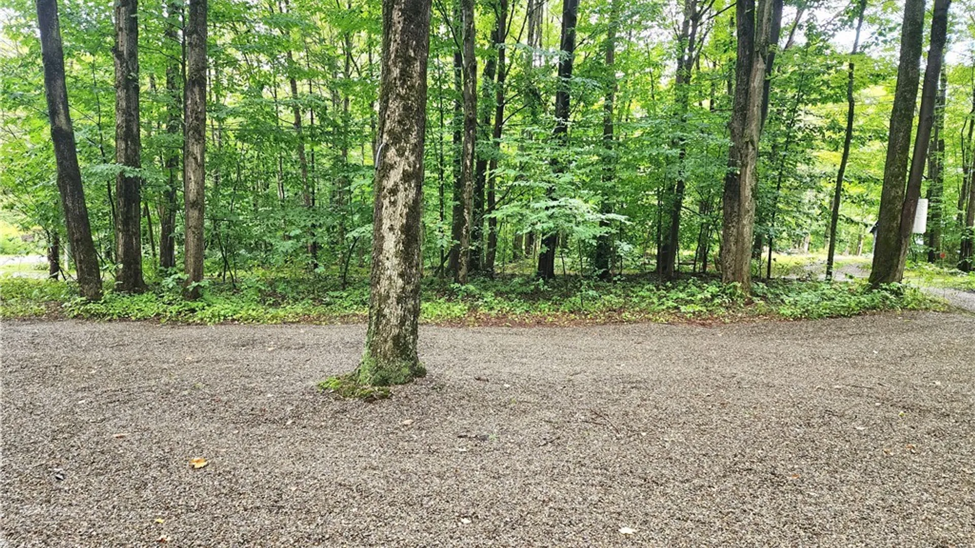 Property at 42 Maple Lane, Sheldon, NY 14167 29