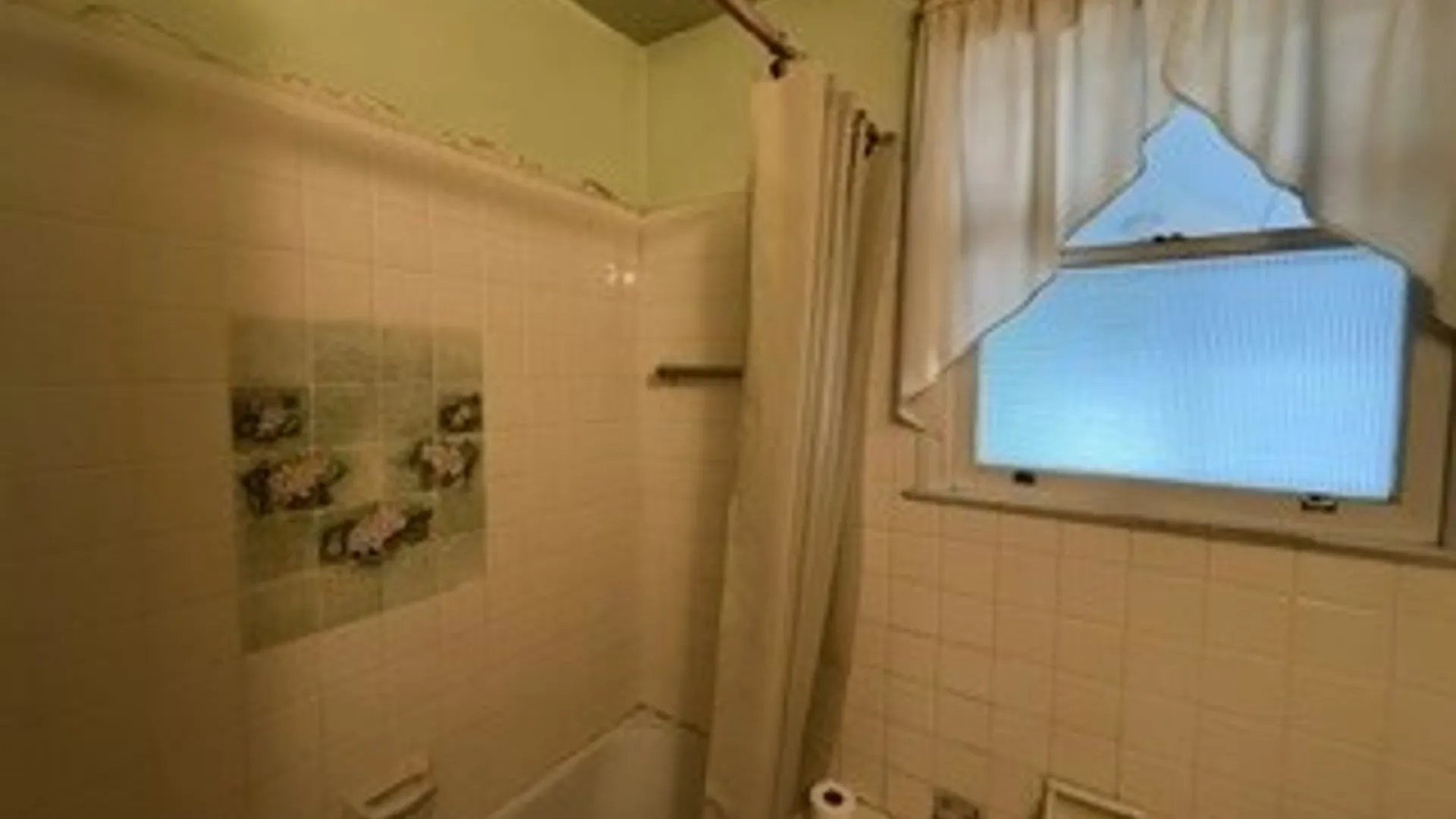 Property at 70 Meadow Lane, Tonawanda, NY 14223 12