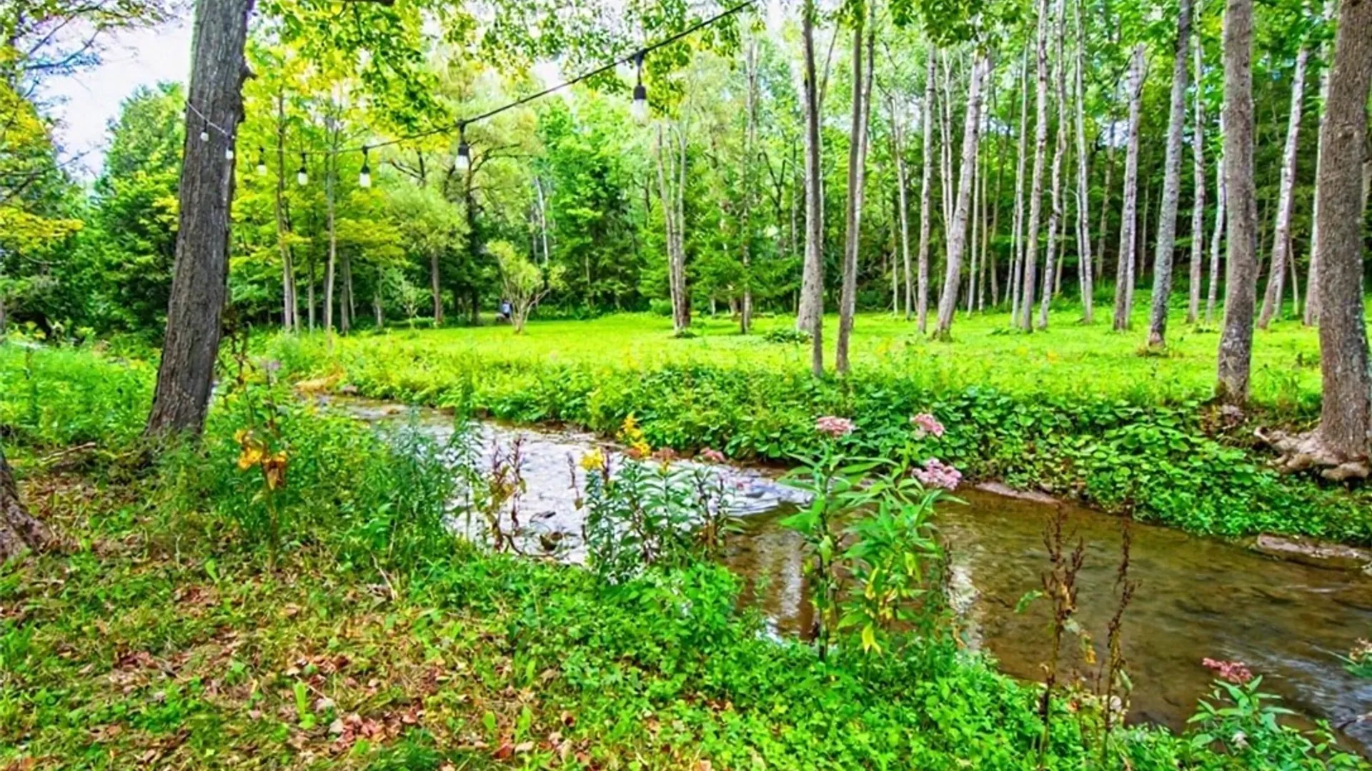 Property at 6002 Wiremill Place, Paris, NY 13322 44
