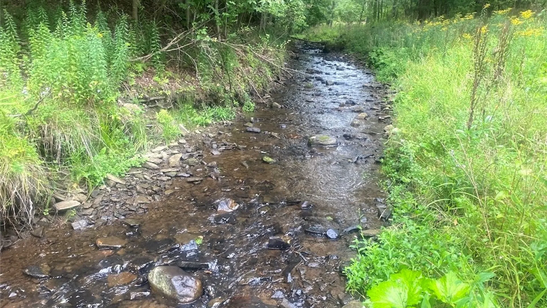 Property at 1884 County Road 18, Alma, NY 14895 4