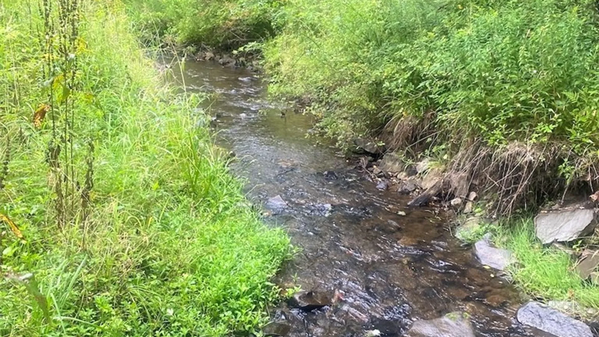 Property at 1884 County Road 18, Alma, NY 14895 36