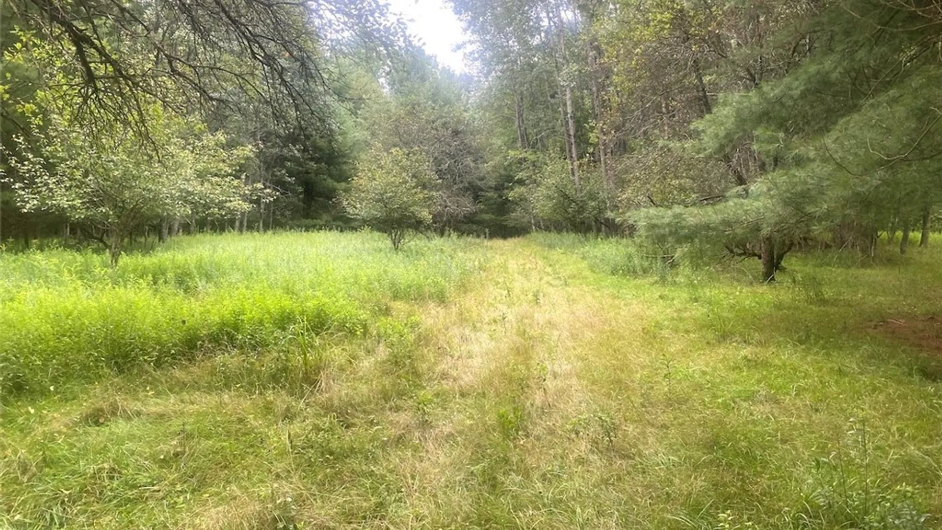 Property at 1884 County Road 18, Alma, NY 14895 37