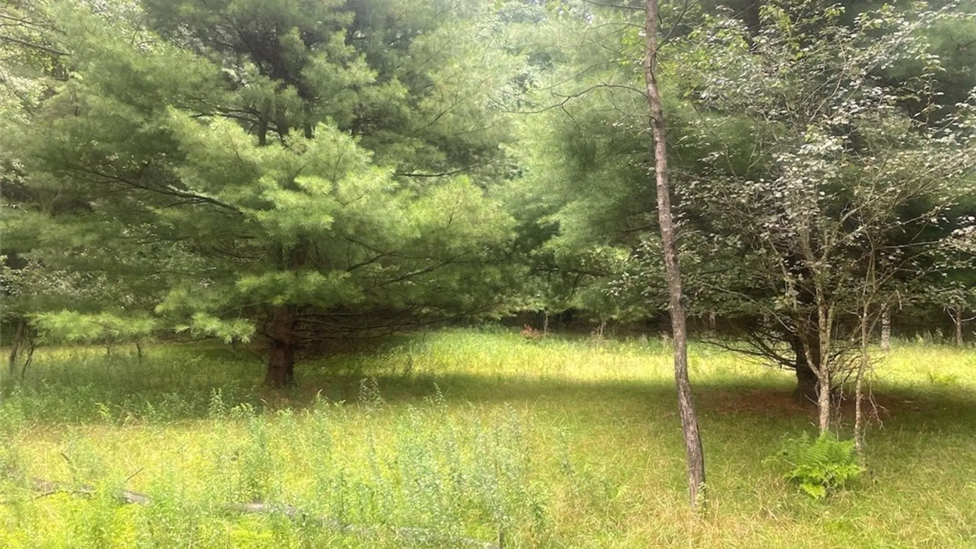 Property at 1884 County Road 18, Alma, NY 14895 40