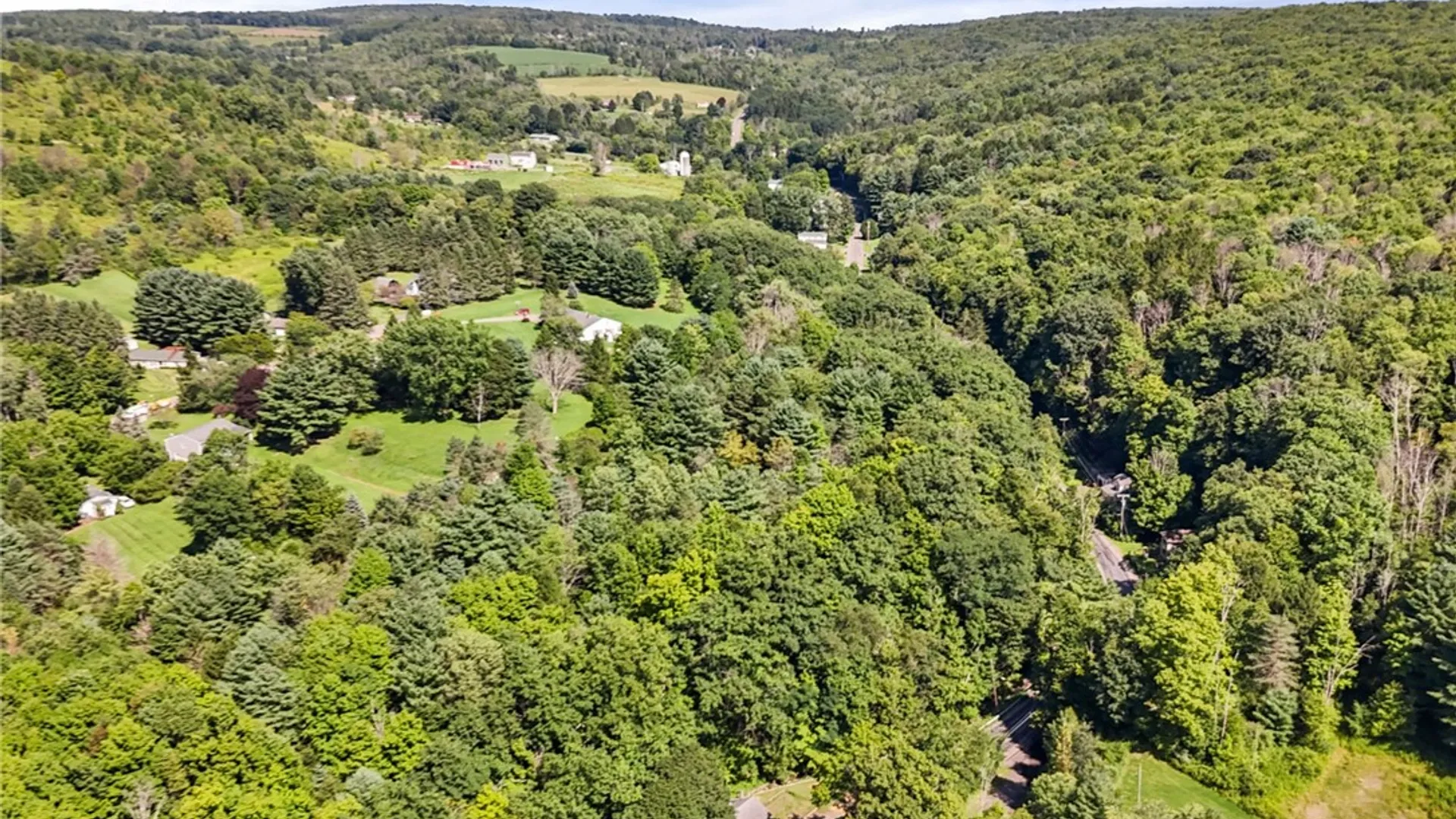 Property at 46 Rock Street, Newark Valley, NY 13811 33
