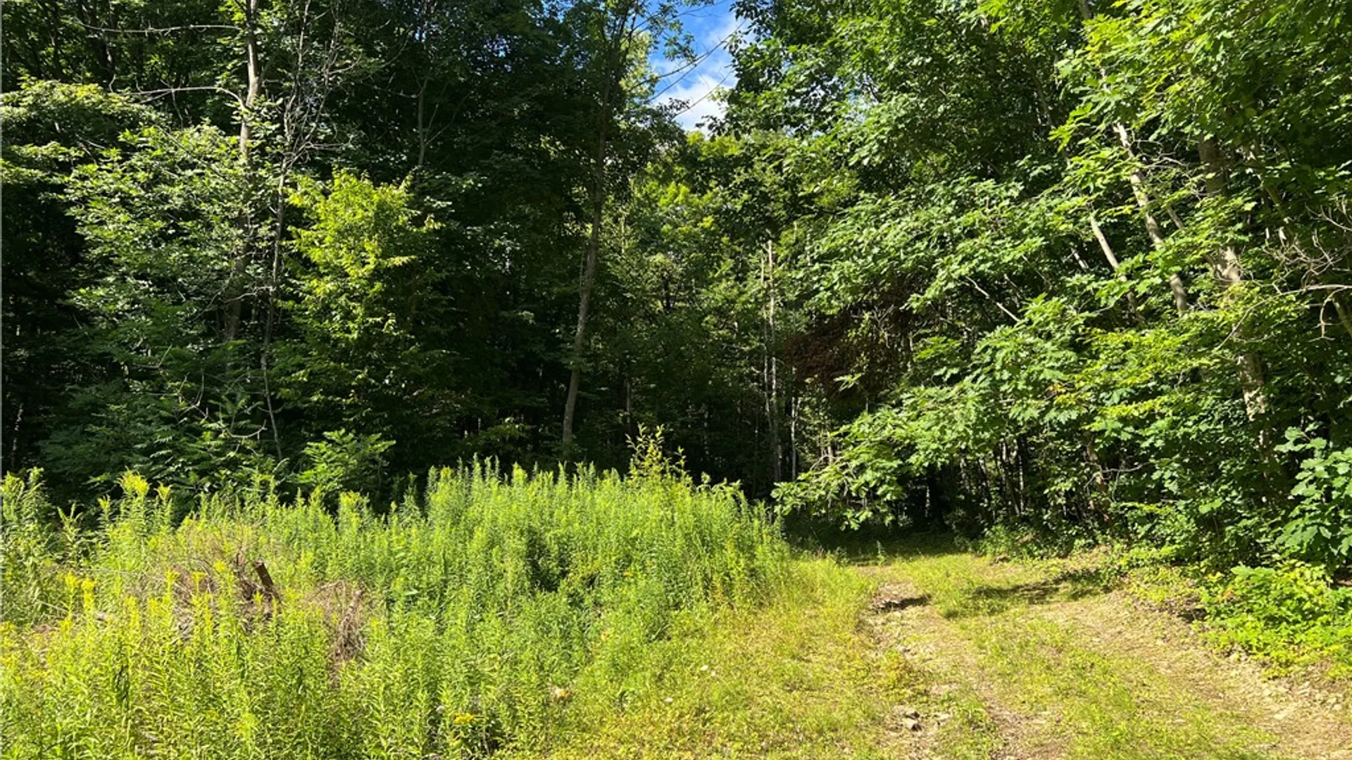 Property at Old Seventy Six Road, Caroline, NY 14817 3