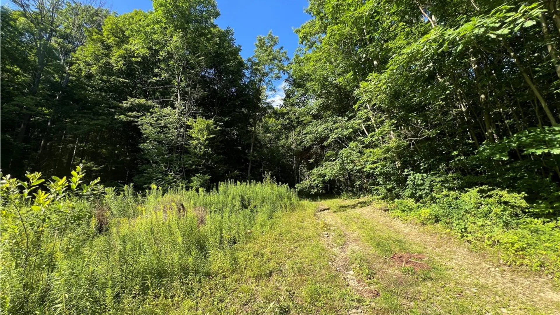 Property at Old Seventy Six Road, Caroline, NY 14817 4