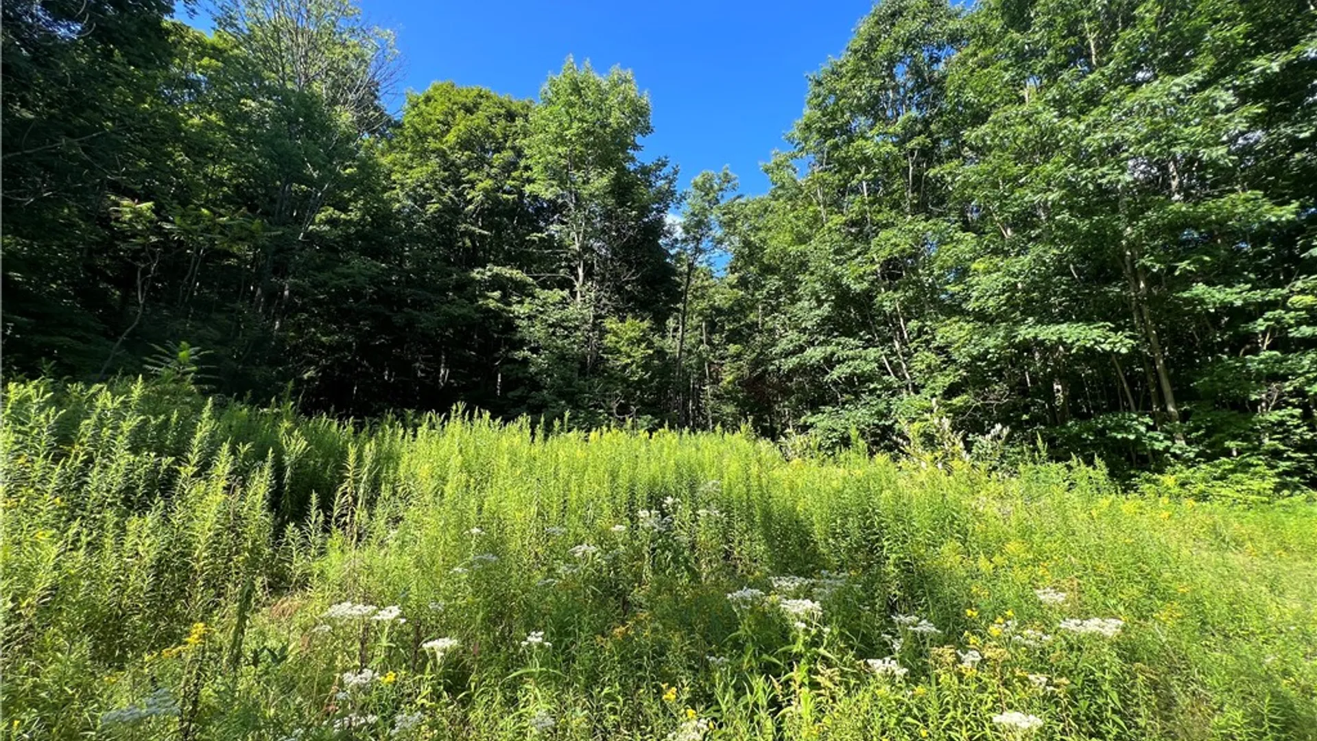 Property at Old Seventy Six Road, Caroline, NY 14817 5